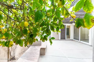 3067 S Halsted Dr, Chandler, AZ 85286 - Photo 6