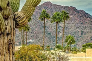 6129 E Edgemont Ave, Scottsdale, AZ 85257 - Photo 10