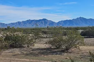 0 W Camino Real --, Buckeye, AZ 85326 - Photo 10