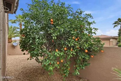 16305 W Bridal Veil Lane, Surprise, AZ 85387 - Photo 34