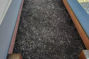 15420 E Via Del Rancho, Gilbert, AZ 85298 - Photo 44