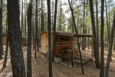 463 Long Valley Road, Happy Jack, AZ 86024 - Photo 24