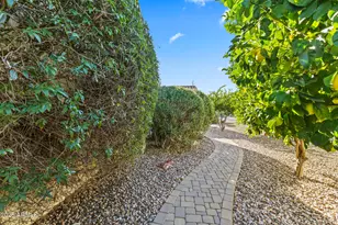 26444 W Pontiac Dr, Buckeye, AZ 85396 - Photo 42