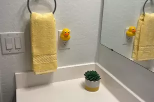 4750 E Chromium Rd, San Tan Valley, AZ 85143 - Photo 64