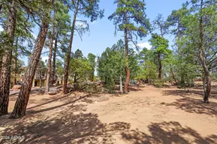302 W Forest Dr, Payson, AZ 85541 - Photo 36