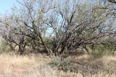 7197 S Pintek Lane, Hereford, AZ 85615 - Photo 18