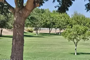 18530 E Purple Sage Dr, Queen Creek, AZ 85142 - Photo 50