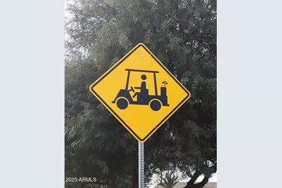 1401 E Jasper Drive, Gilbert, AZ 85296 - Photo 48