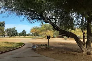 1401 E Jasper Dr, Gilbert, AZ 85296 - Photo 50