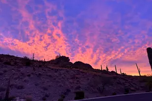 4588 S Dusty Coyote Trail, Gold Canyon, AZ 85118 - Photo 48