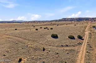 2 County Road N4016 --, Saint Johns, AZ 85936 - Photo 1