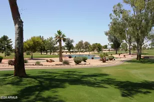 25829 S Beech Creek Dr, Sun Lakes, AZ 85248 - Photo 36