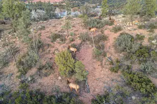 105 E Pine Ridge Dr --, Star Valley, AZ 85541 - Photo 56