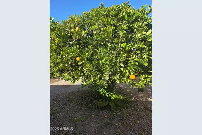 18030 W Legend Drive, Surprise, AZ 85374 - Photo 36