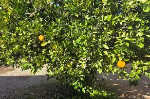 18030 W Legend Dr, Surprise, AZ 85374 - Photo 36