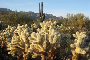 19003 W Sierra St, Surprise, AZ 85388 - Photo 34