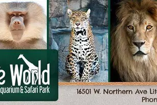 19003 W Sierra St, Surprise, AZ 85388 - Photo 42