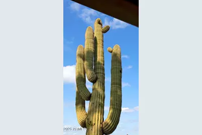 5716 E Desert Vista Trail, Cave Creek, AZ 85331 - Photo 64