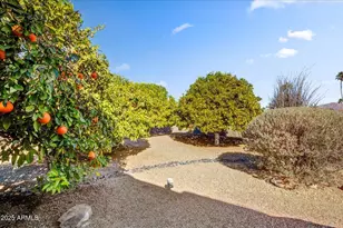 25633 N Abajo Dr, Rio Verde, AZ 85263 - Photo 36