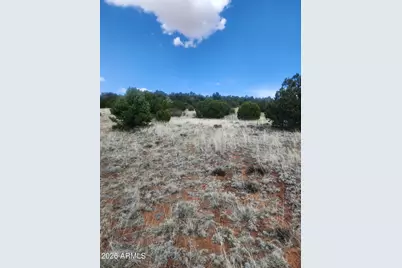 4 Acr 8410 -- #416, Concho, AZ 85924 - Photo 1