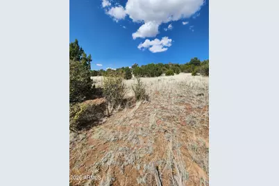 4 Acr 8410 -- #416, Concho, AZ 85924 - Photo 10