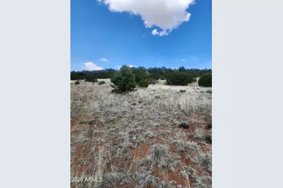 4 Acr 8410 -- #416, Concho, AZ 85924 - Photo 4