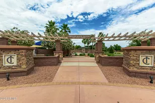 1157 W Popcorn Tree Ave, Queen Creek, AZ 85140 - Photo 44