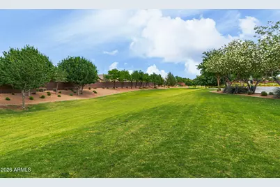 1157 W Popcorn Tree Avenue, San Tan Valley, AZ 85140 - Photo 56