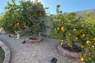 4140 W Paradise Dr, Phoenix, AZ 85029 - Photo 32