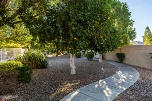 3121 E Gary St, Mesa, AZ 85213 - Photo 74