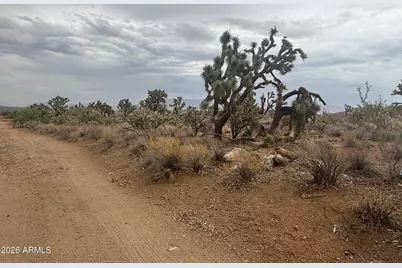 18290 N Smoke Drive #220, Dolan Springs, AZ 86441 - Photo 14