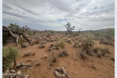 18290 N Smoke Drive #220, Dolan Springs, AZ 86441 - Photo 2
