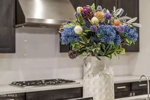 10437 E Monterra Way, Scottsdale, AZ 85262 - Photo 12