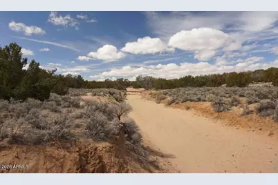 Lot 227 Red Sky Ranch -- #227, Saint Johns, AZ 85936 - Photo 12