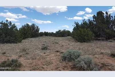 Lot 227 Red Sky Ranch -- #227, Saint Johns, AZ 85936 - Photo 10