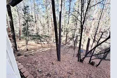 6870 W Robbin Lane, Pine, AZ 85544 - Photo 34