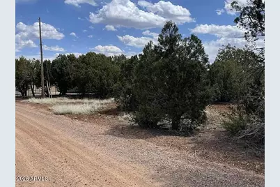 1879 Turkey Flat Place #17, Show Low, AZ 85901 - Photo 1