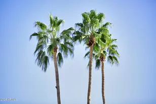 1741 S Clearview Ave, Mesa, AZ 85209 - Photo 48