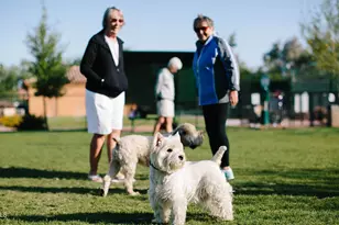 3237 N 168th Ave, Goodyear, AZ 85395 - Photo 22