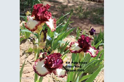 6405 W Pine Cone Trail, Pine, AZ 85544 - Photo 60