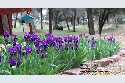 6405 W Pine Cone Trail, Pine, AZ 85544 - Photo 62