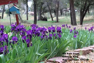 6405 W Pine Cone Trail, Pine, AZ 85544 - Photo 62