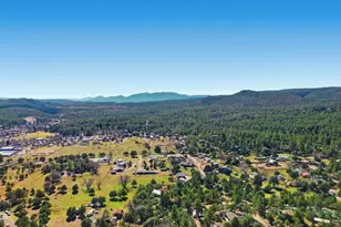 6405 W Pine Cone Trail, Pine, AZ 85544 - Photo 56