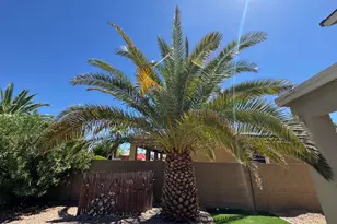 29402 W Columbus Ave, Buckeye, AZ 85396 - Photo 46