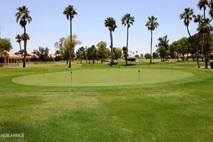 26406 S Flame Tree Dr, Sun Lakes, AZ 85248 - Photo 40