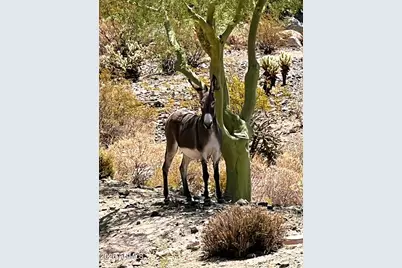 7451 W Montgomery Road, Peoria, AZ 85383 - Photo 40