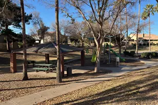 329 N Abalone Dr, Gilbert, AZ 85233 - Photo 16