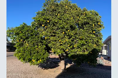 75 E Lynn Way, Queen Valley, AZ 85118 - Photo 6