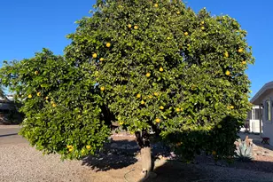 75 E Lynn Way, Queen Valley, AZ 85118 - Photo 6