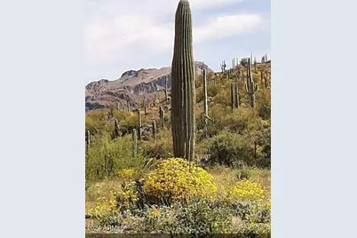 0 E Hardt Tank Road #004L Also known as B, Queen Valley, AZ 85118 - Photo 8